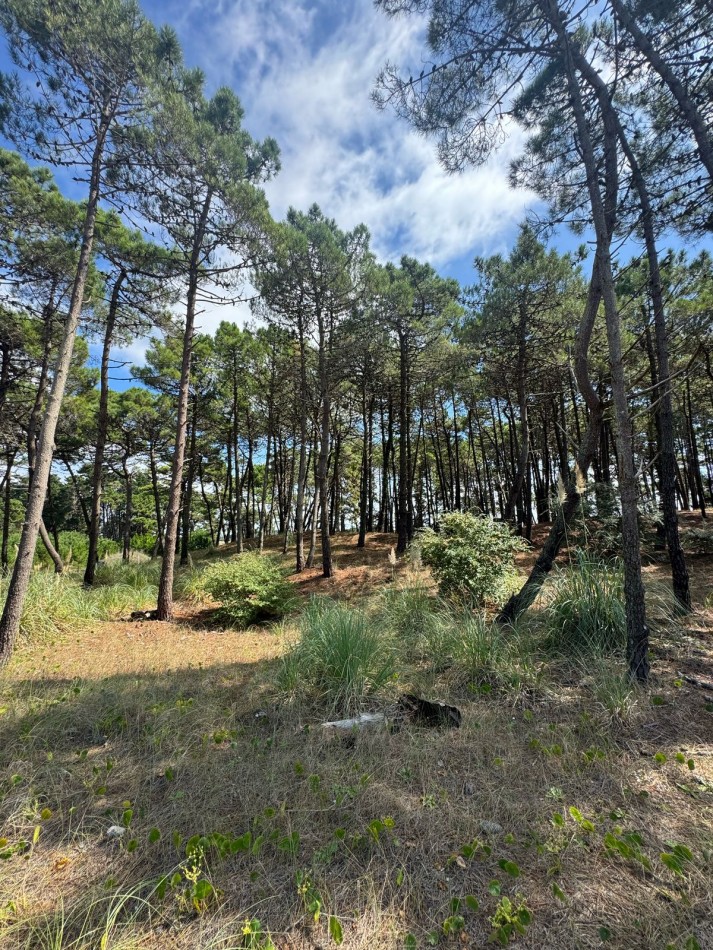3021 - Isla del Golf
