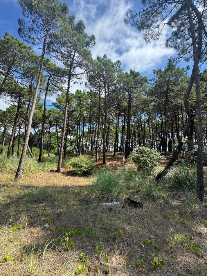 3021 - Isla del Golf