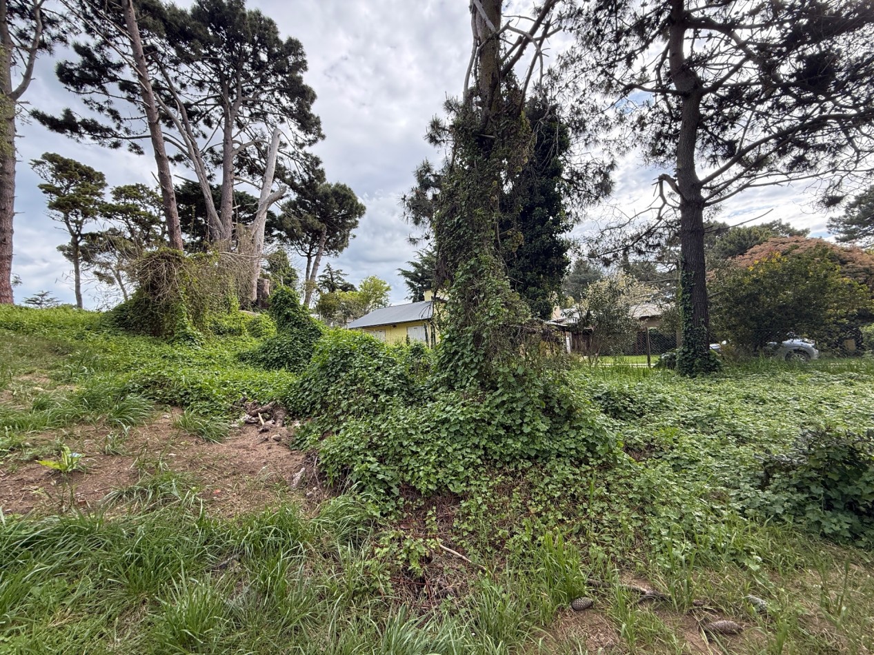 LOTE EN VENTA EN PINAMAR 
