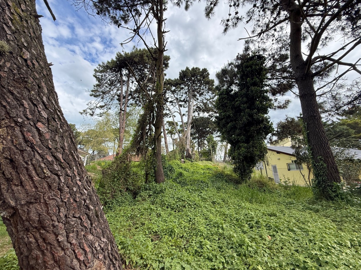 LOTE EN VENTA EN PINAMAR 