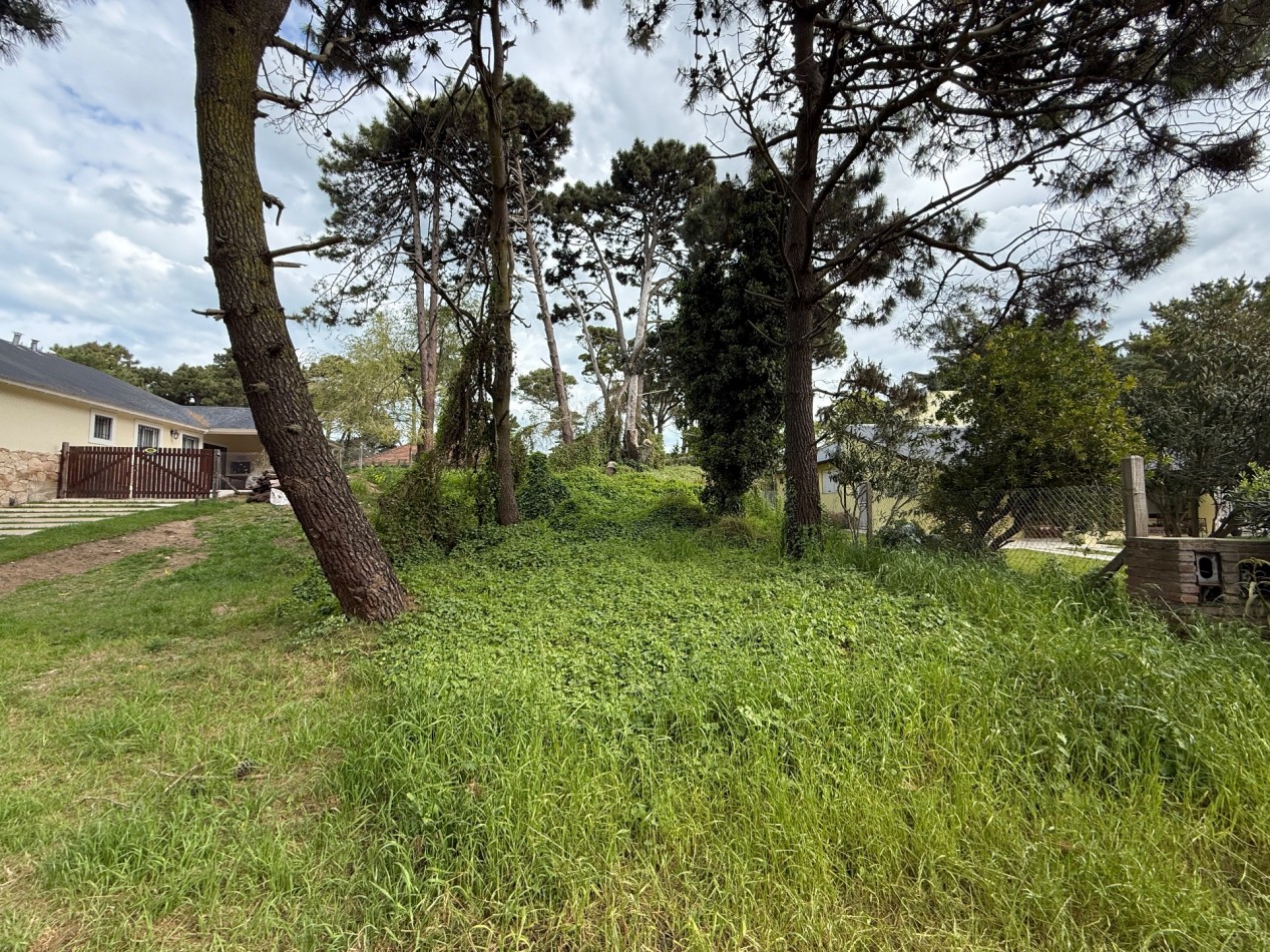 LOTE EN VENTA EN PINAMAR 