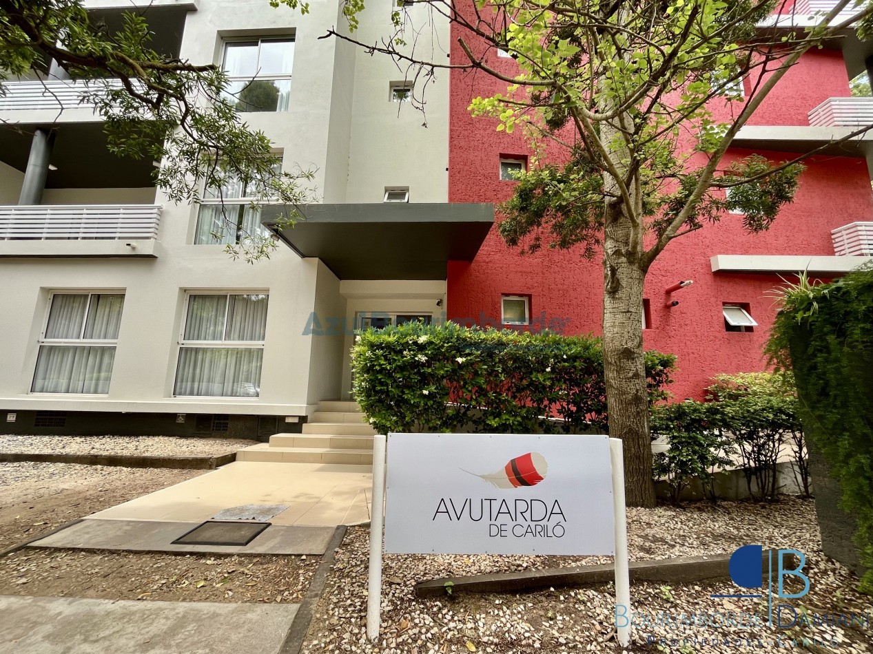 2011- Avutarda de Carilo 3E