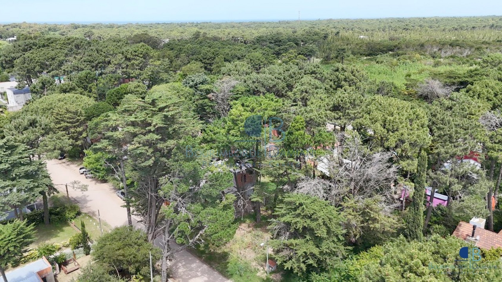 3019 - Lote Valeria del Mar