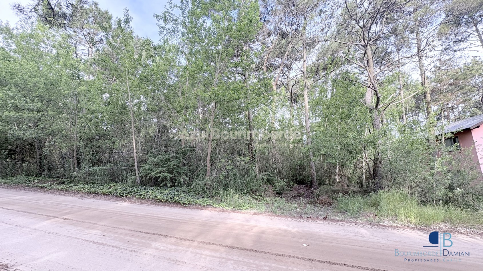 3018- Jilguero Lote 32