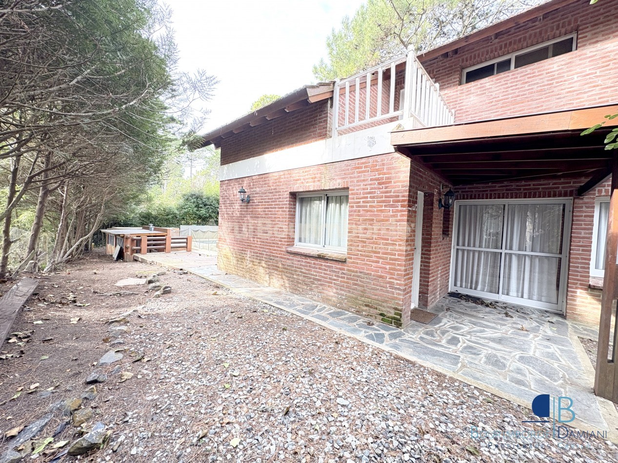 1051- Palmera e/ Oriol y Pinzon