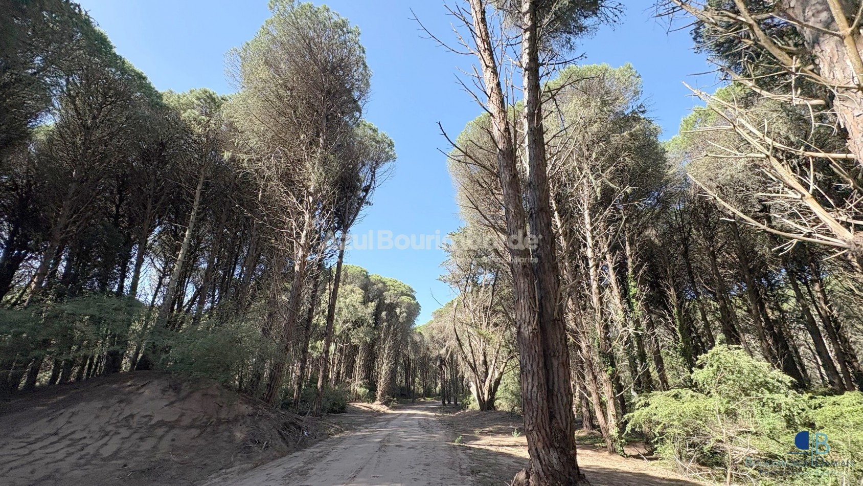 3020- Lote Saint Thomas