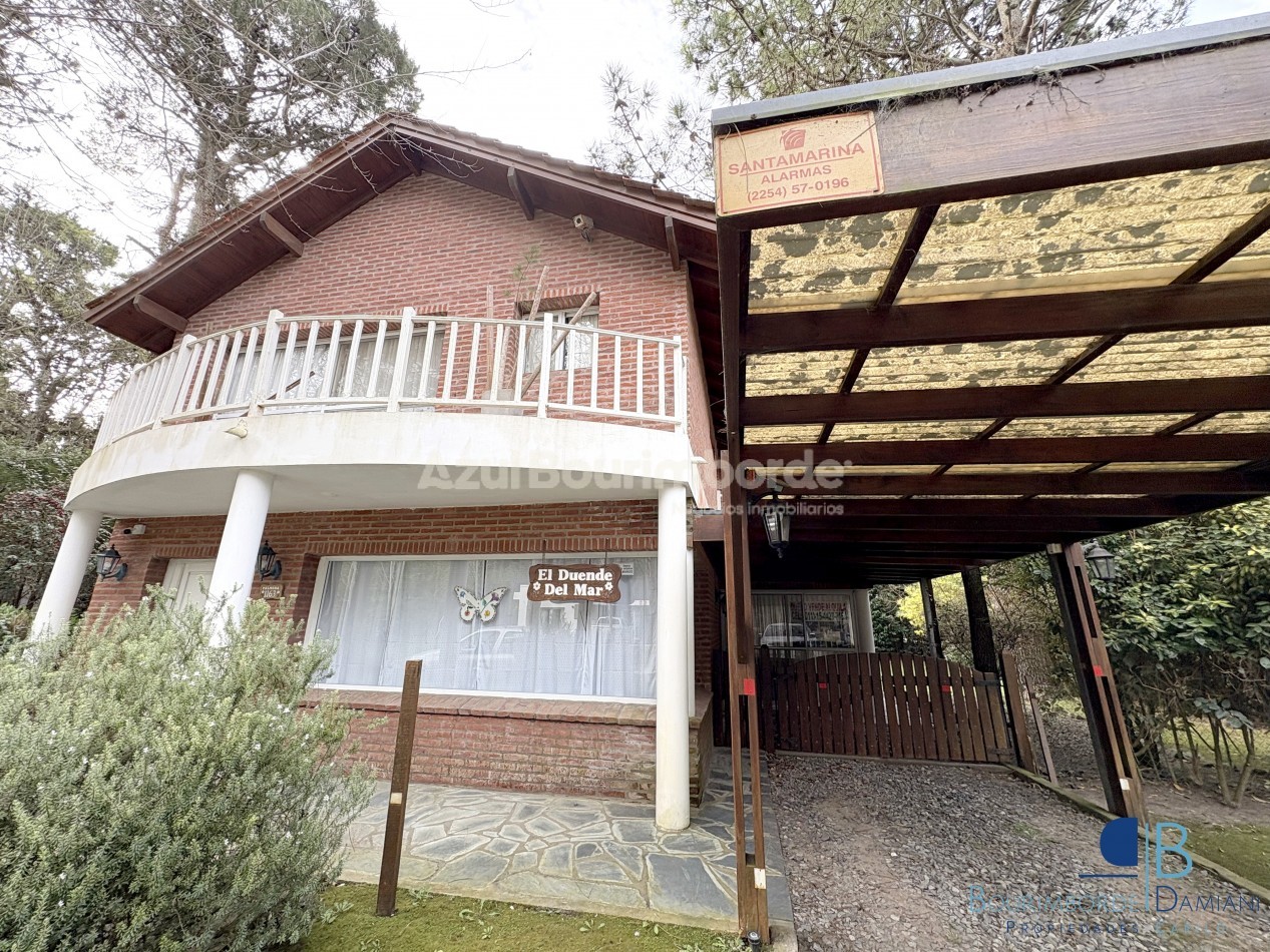 1051- Palmera e/ Oriol y Pinzon