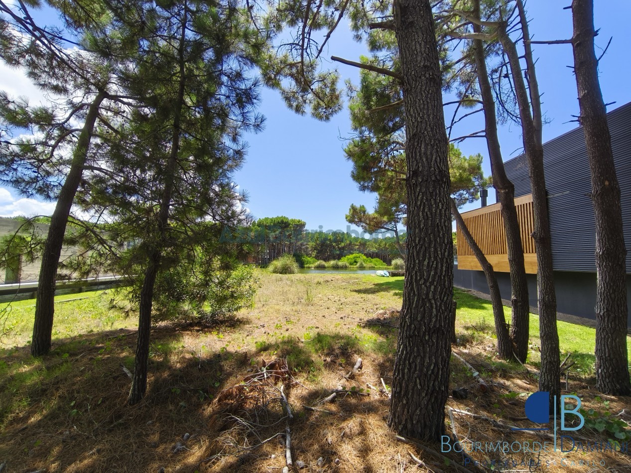 3007- Lote en Villa Robles 