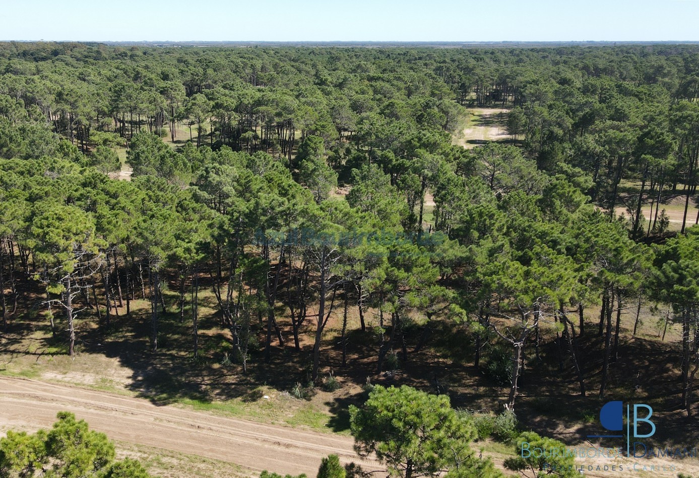 3010 - Lote en Bosques