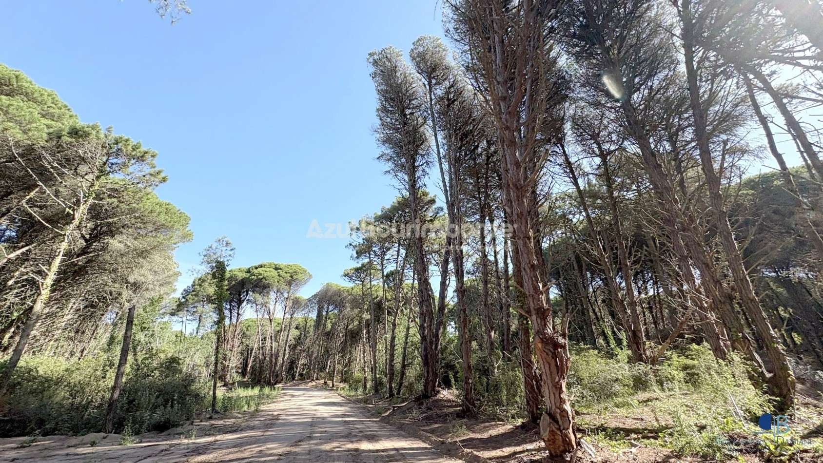 3020- Lote Saint Thomas