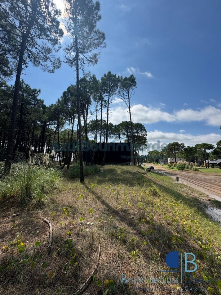 3008 - Lote en Pioneros