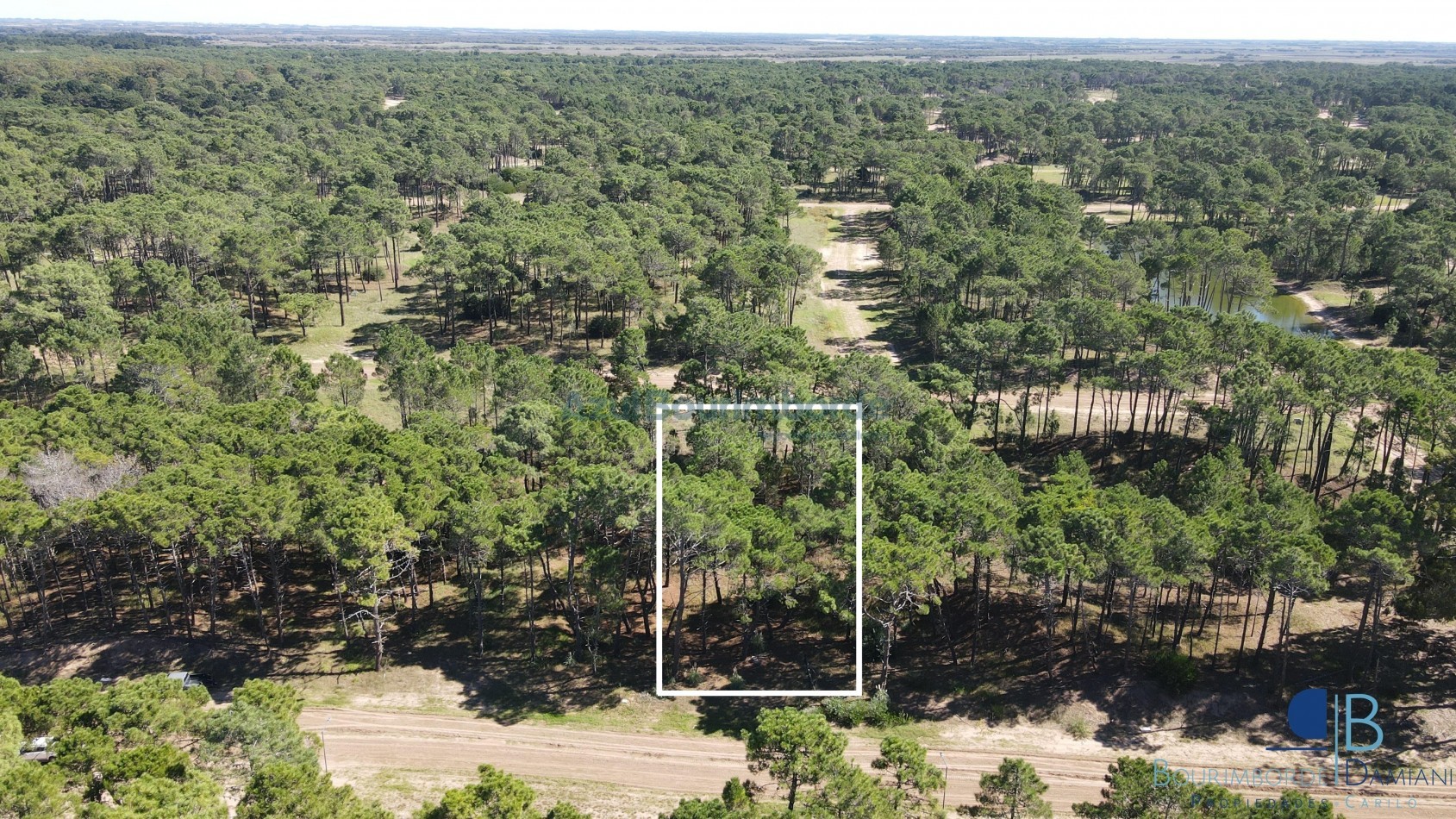 3010 - Lote en Bosques