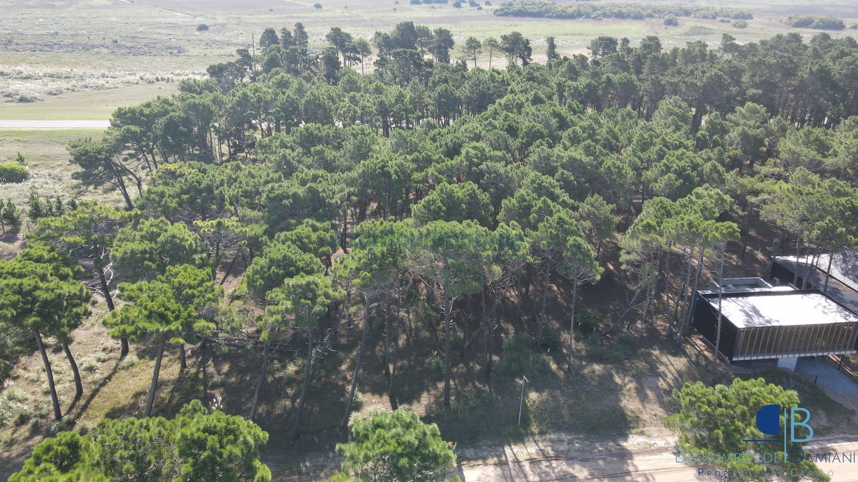 3008 - Lote en Pioneros