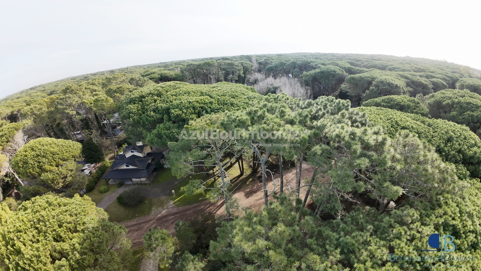 3015- Lote Urraca
