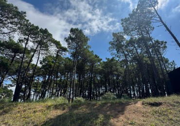3021 - Isla del Golf