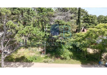 3019 - Lote Valeria del Mar