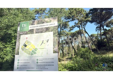 3020- Lote Saint Thomas