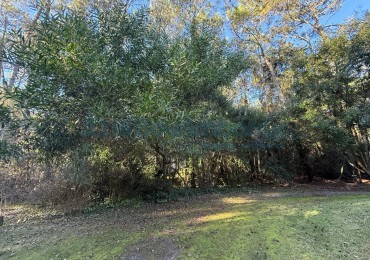 VENTA LOTE EN CARILO - ref 3025