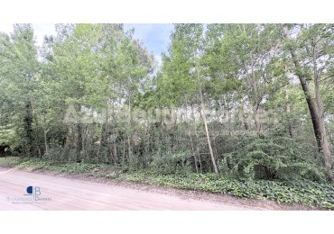 3017- Jilguero Lote 31