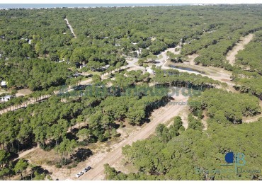 3011 - Lote en Bosques 
