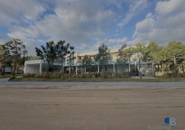 1048- Maritimo IV, lote 62