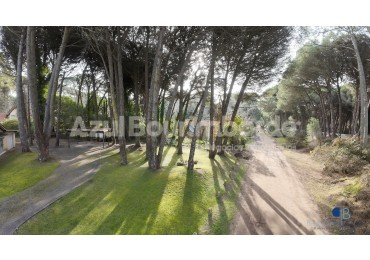 3015- Lote Urraca