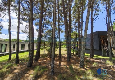 3007- Lote en Villa Robles 