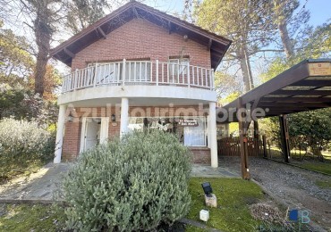 1051- Palmera e/ Oriol y Pinzon